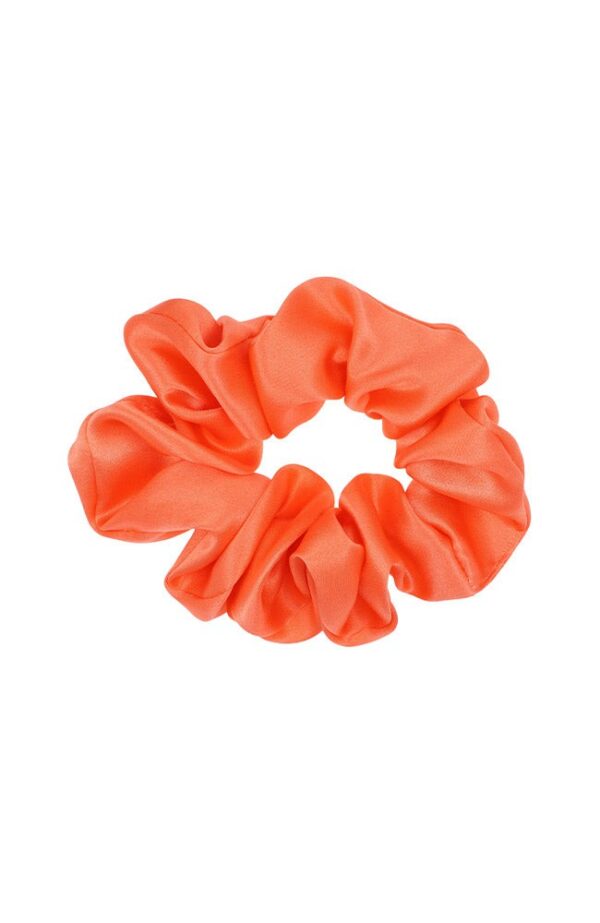 Medium Pony - Silk Charmeuse - Image 96